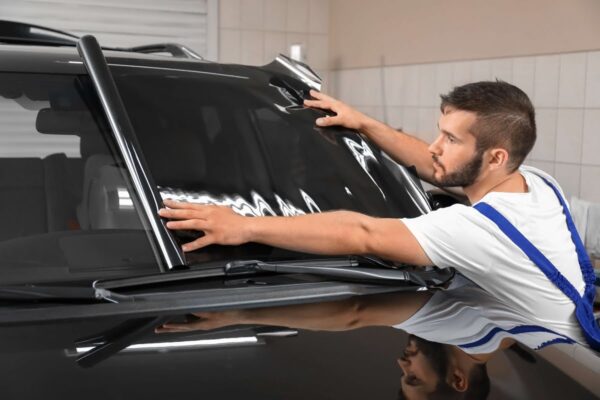 Window Tinting Prices Tampa FL (2023) – How Much do it Costs?