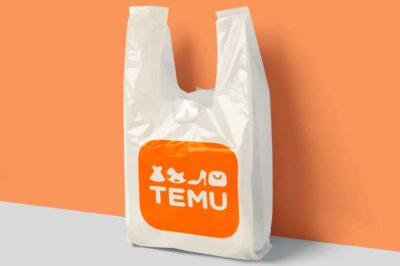 Is TEMU Legit? – Review of the New Shopping Marketplace